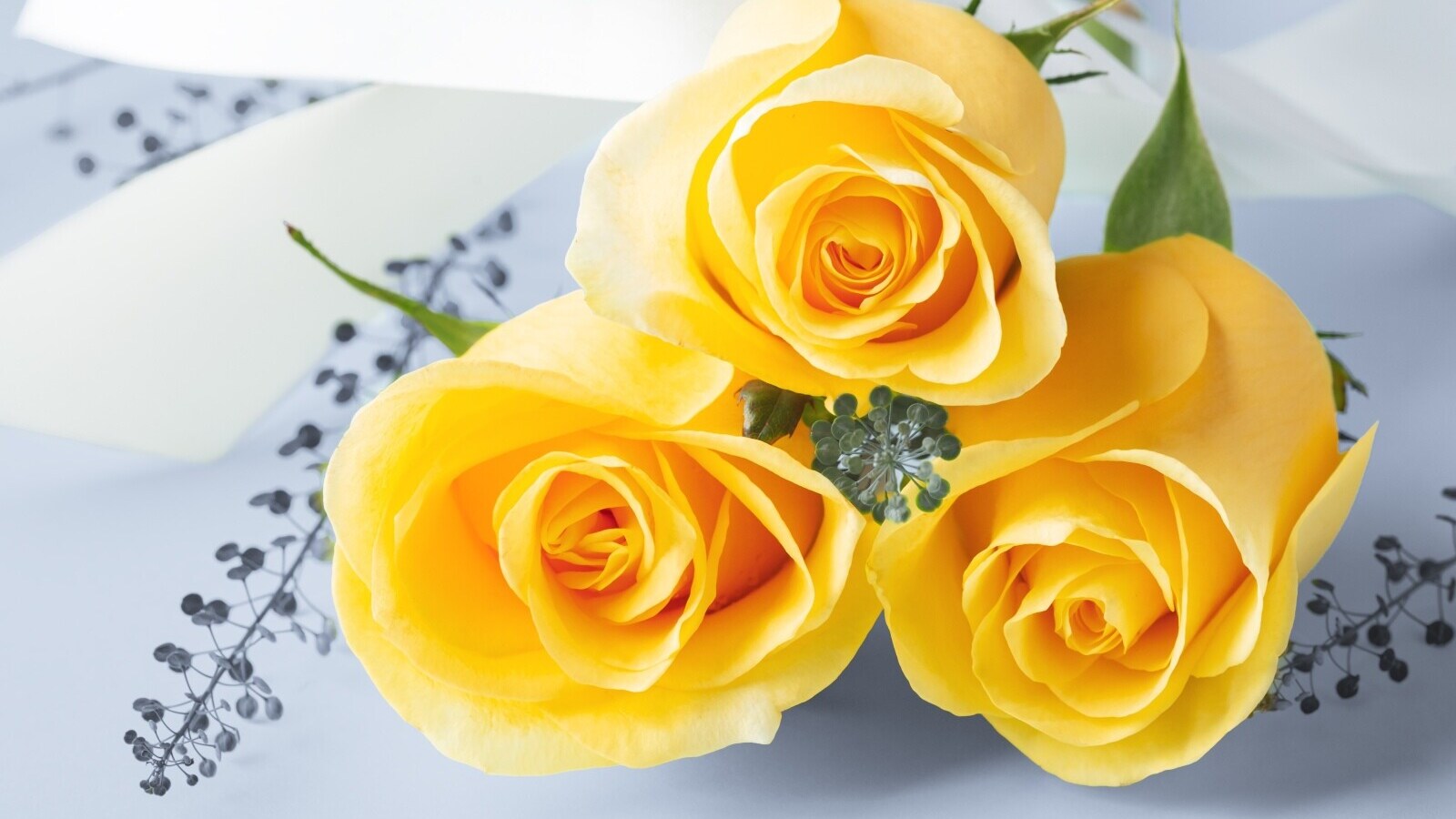 父の日】なぜ「バラの花」と「黄色」なの？ 意外と知らない由来と意味