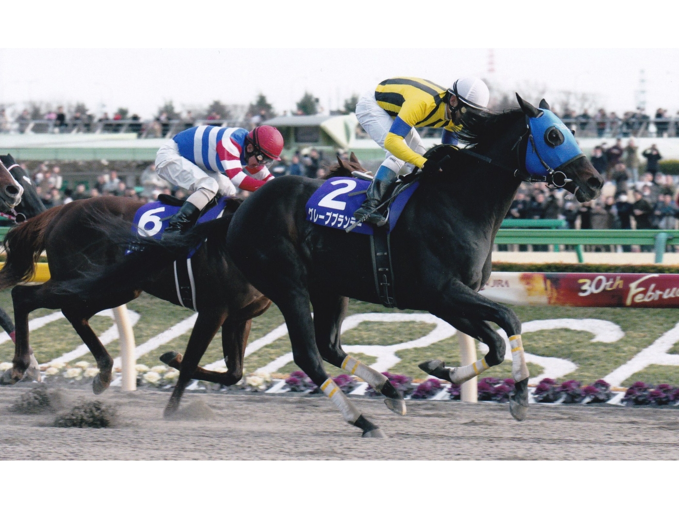 活動歴および当時の関連ビジュアル記録