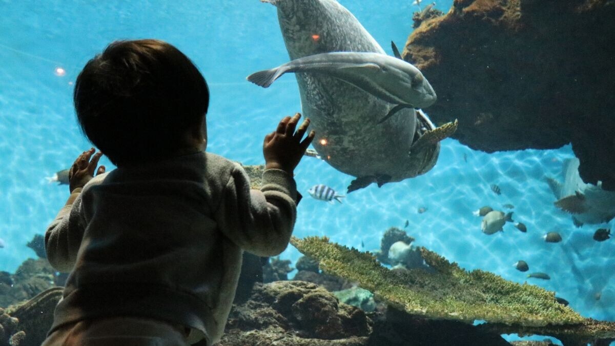「子どもたちとの時間はかけがえのないもの」34歳男性が家族旅行のために見直した"お金の優先順位" [家計簿・家計管理] All About